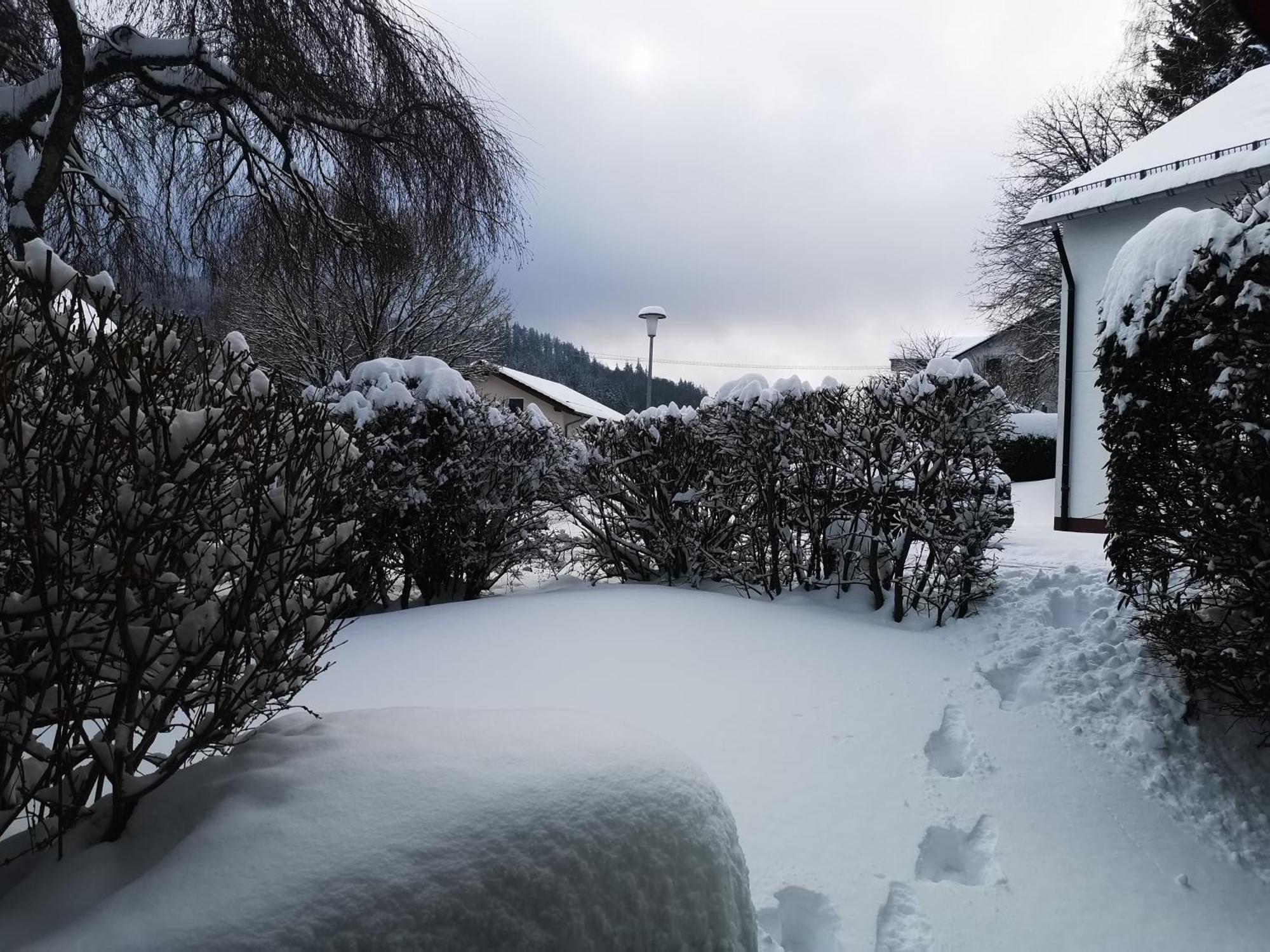 Fewo Kuhlmann Willingen  Buitenkant foto
